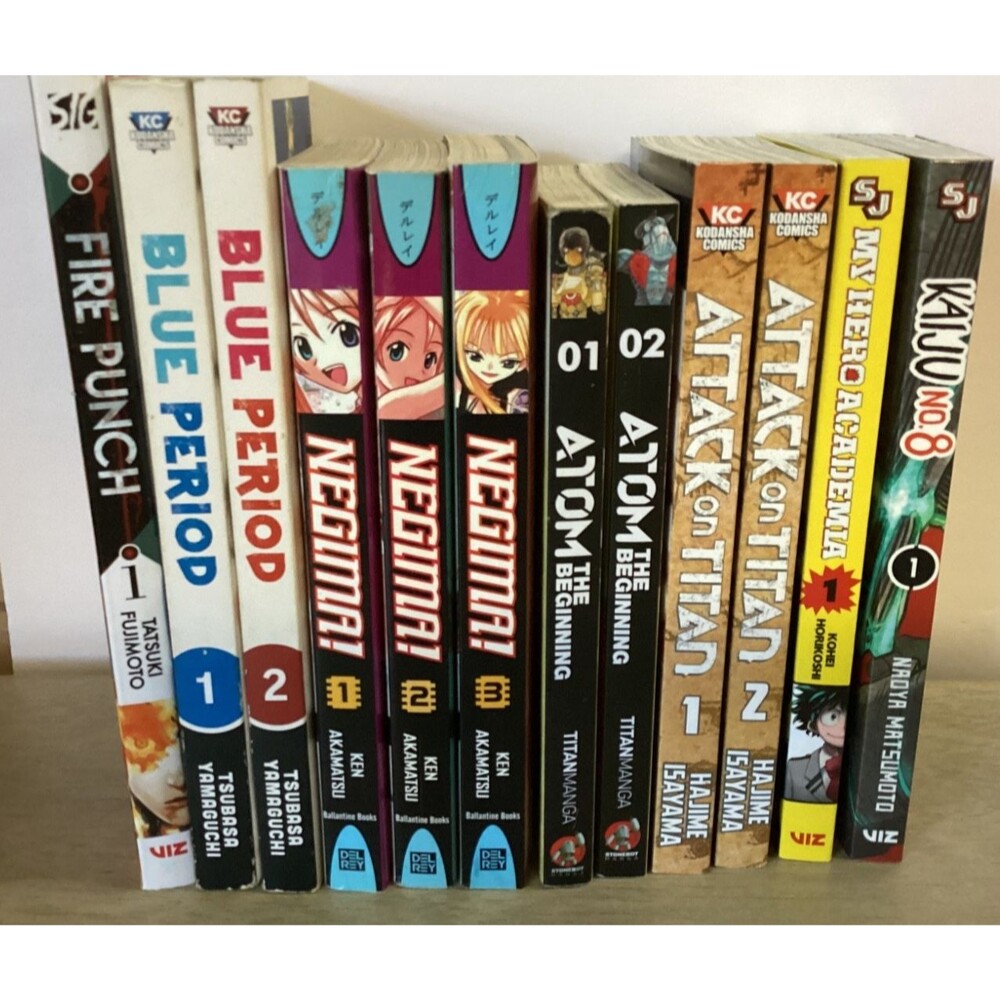 Lot of 12 Manga Assorted Books Fire Punch Blue Period Negamai Atom Titan More